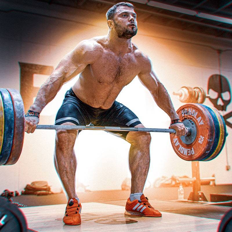 Olympic muscle 5 day split sales